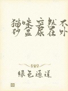 猫咪突然不去猫砂盆尿在外面