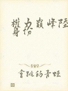 权力巅峰陆皓的身份