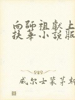 向师祖献上咸鱼扶华小说版免费