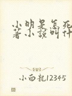 小明是怎死的原著小说叫什么名字