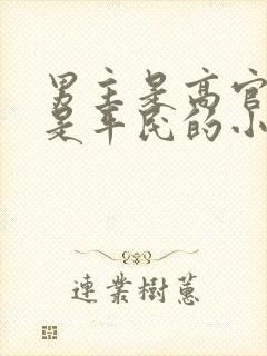 男主是高官女主是平民的小说