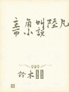 主角叫陆凡的都市小说