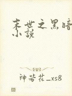 末世之黑暗时代小说