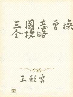 三国志曹操传 全攻略