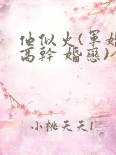 他似火(军婚 高干 婚恋)全文免费阅读