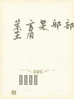 叶玄是哪部小说主角