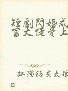 短剧闪婚成宠首富大佬爱上我第11集