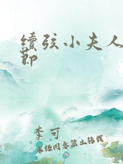 续弦小夫人新章节