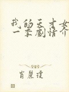 我的天才女友第一季剧情介绍