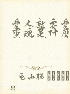 爱人就要爱他的灵魂是什么歌