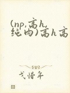 (np,高h,纯肉)高h高