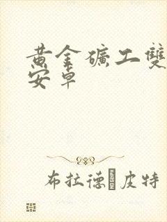 黄金矿工双人版安卓