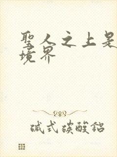 圣人之上是什么境界