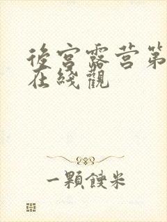 后宫露营第一季在线观