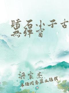 赌石小子古董王无弹窗