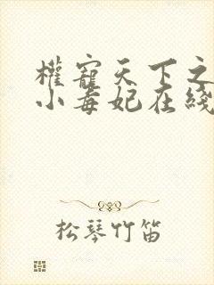 权宠天下之神医小毒妃在线小说