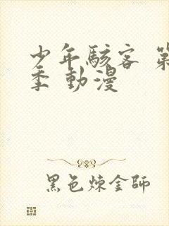 少年骇客 第三季 动漫