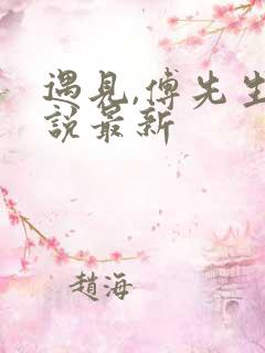 遇见,傅先生小说最新