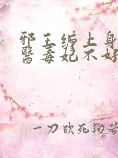 邪王缠上身:神医毒妃不好惹