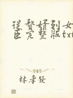 从赘婿到女帝宠臣完整版txt