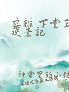 容离 下堂王妃逆袭记