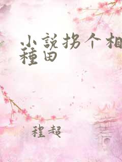 小说拐个相公来种田
