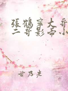 张鹤宁大哥总裁二哥影帝小说免费阅读