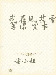 我在风花雪月里等你 完本