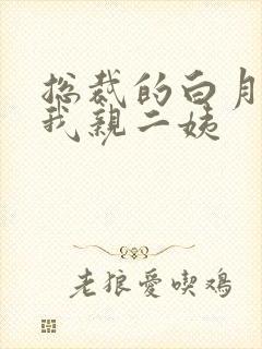 总裁的白月光是我亲二姨