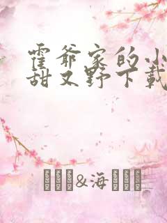 霍爷家的小祖宗甜又野下载txt