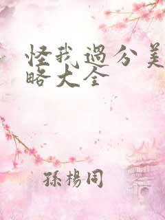 怪我过分美丽攻略大全