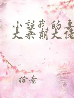小说我的妻子是大乘期大佬免费