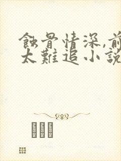 蚀骨情深,前妻太难追小说最新