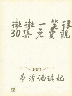 微微一笑很倾城30集免费观看高清