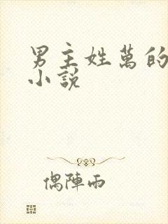 男主姓万的现代小说