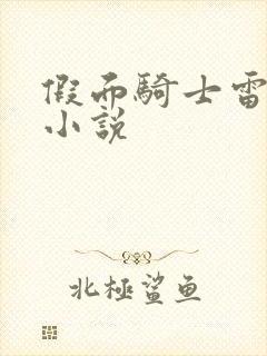 假面骑士雷杰多小说