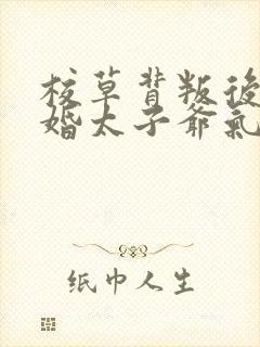 校草背叛后我闪婚太子爷气疯他苏念笙无删