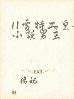 11处特工皇妃小说男主