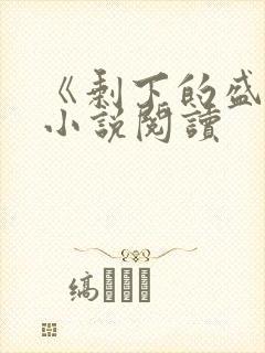 《剩下的盛夏》小说阅读