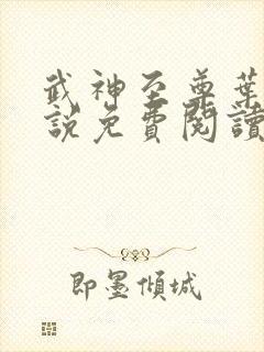 武神至尊叶风小说免费阅读全文