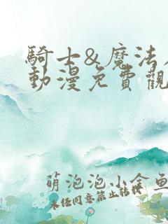 骑士&魔法在线动漫免费观看