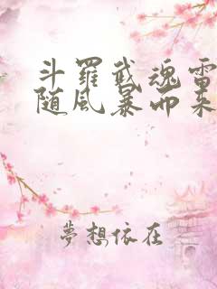 斗罗武魂雷伊我随风暴而来小说