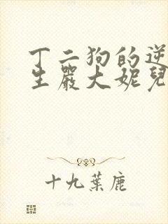 丁二狗的逆袭人生严大妮儿大结局