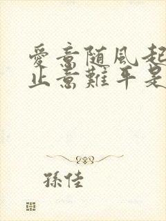 爱意随风起,风止意难平是什么歌