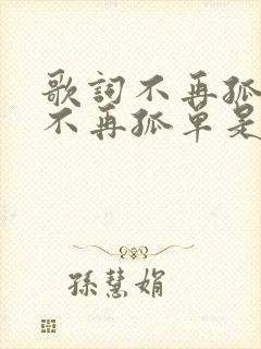歌词不再孤单,不再孤单是什么歌