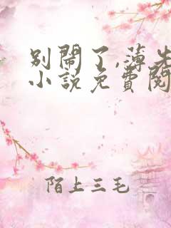 别闹了,薄先生小说免费阅读