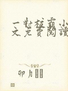 一对校霸小说全文免费阅读