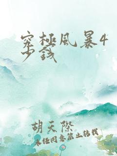 究极风暴4 多少钱