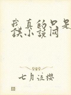 我真的只是想打铁小说网