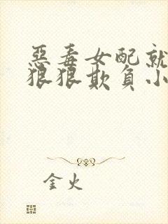 恶毒女配就该被狠狠欺负小说